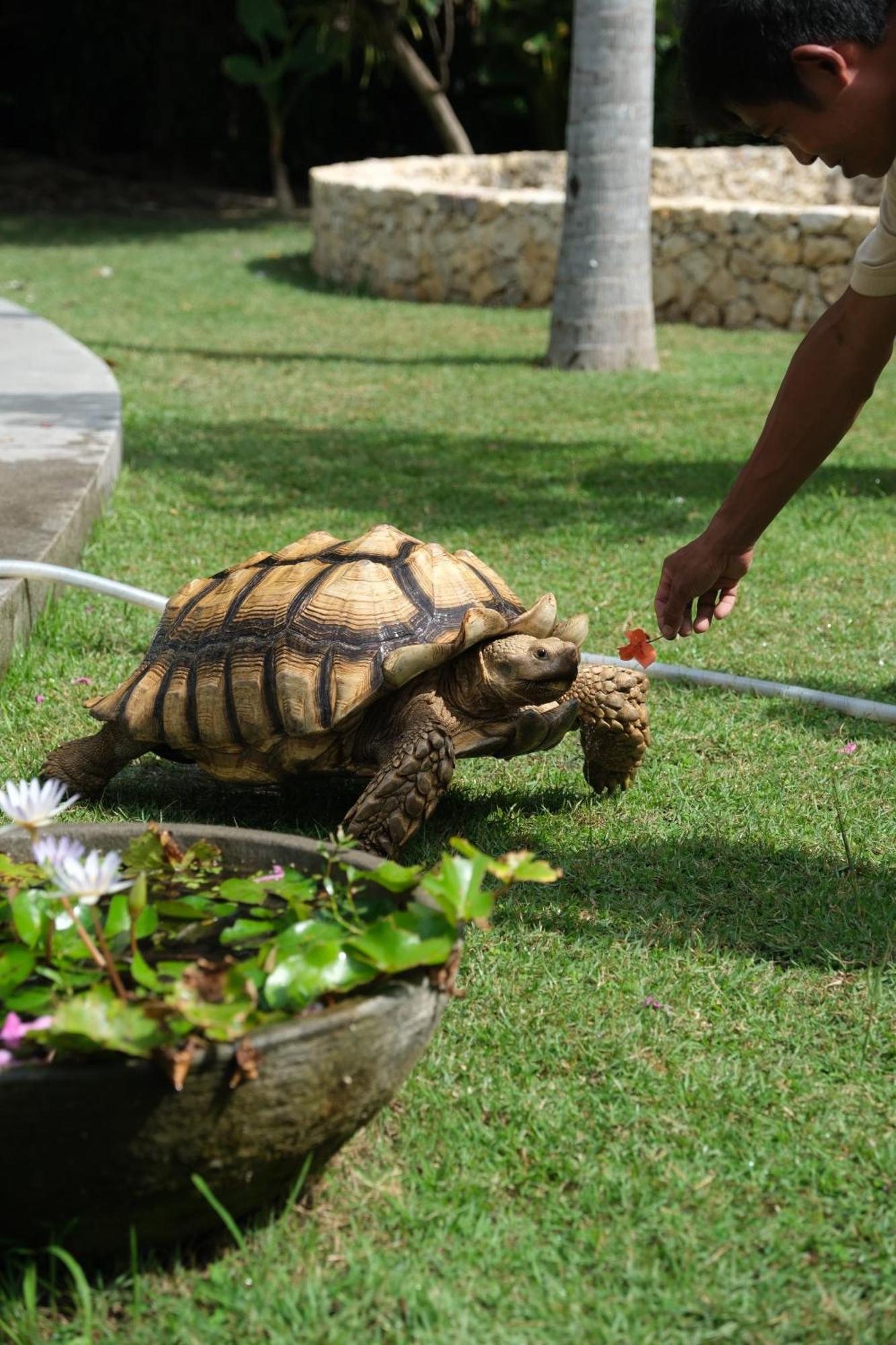 ジバナ リゾート Kuta  エクステリア 写真